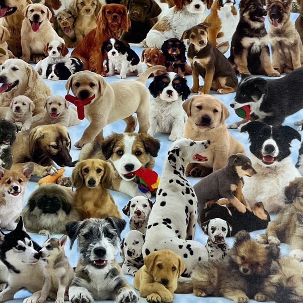Ravensburger "Dogs Galore!" 1000-piece Jigsaw Puzzle